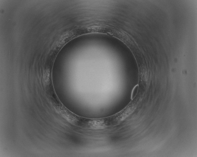 X0000073860660200608170944