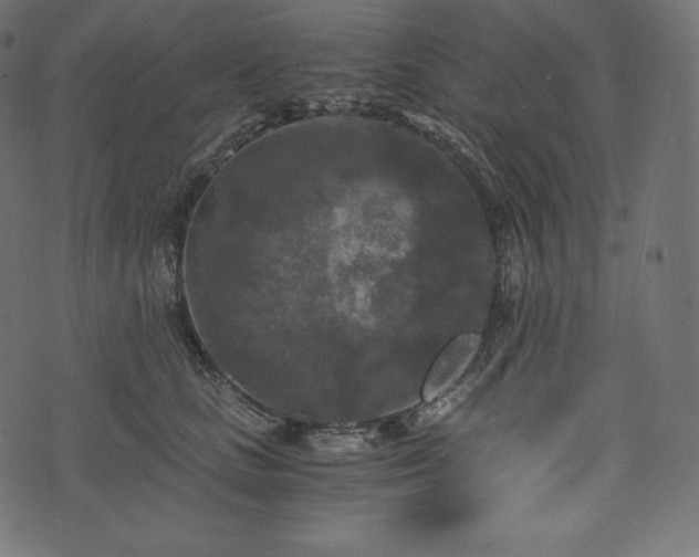 X0000073860661200608170944