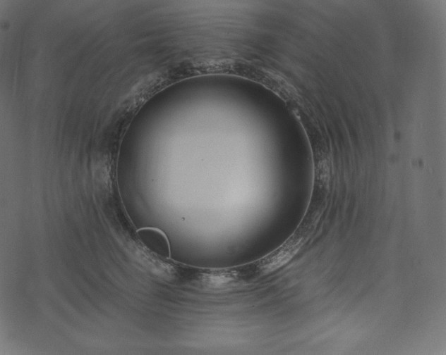 X0000073860662200608170944