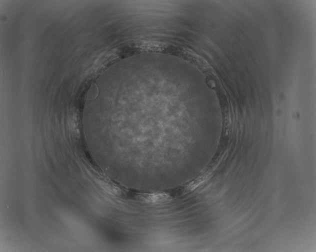 X0000073860663200608170944