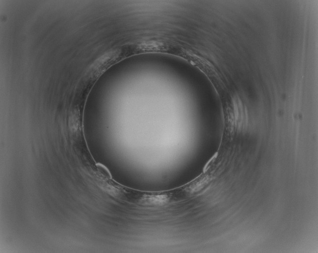 X0000073860665200608170944