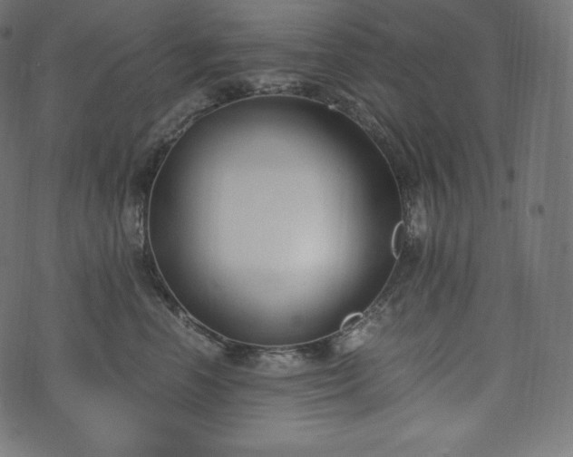 X0000073860666200608170944