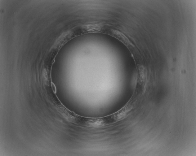 X0000073860667200608170944