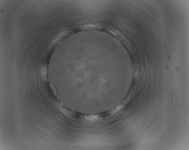 X0000073860669200608170944