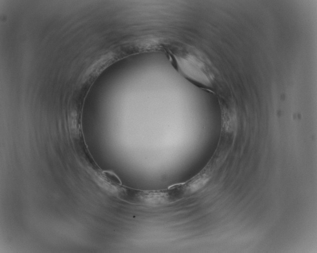 X0000073860670200608170944