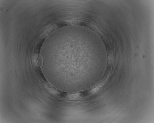 X0000073860671200608170944