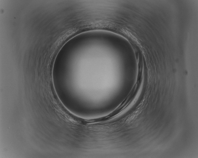 X0000073860673200608170943