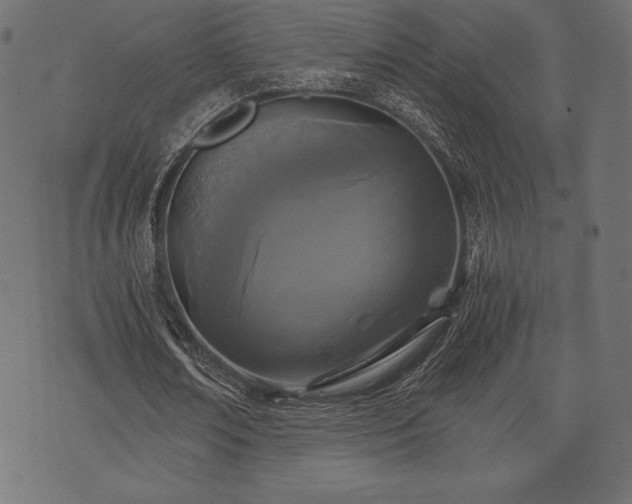 X0000073860674200608170943