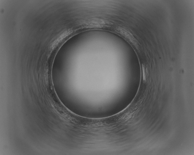 X0000073860675200608170943