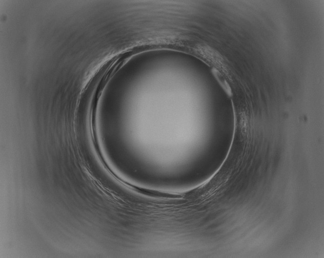 X0000073860676200608170943