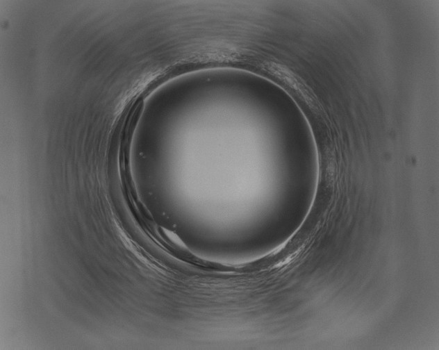 X0000073860677200608170943