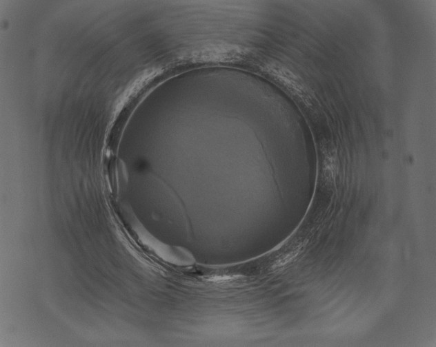 X0000073860678200608170943