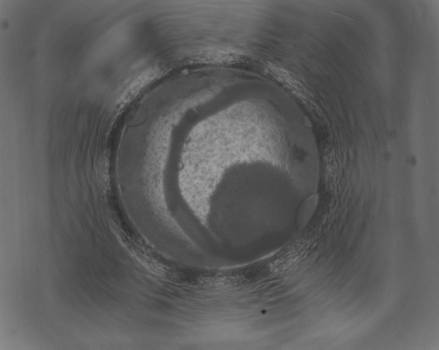 X0000073860679200608170943