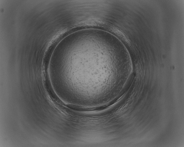 X0000073860680200608170943