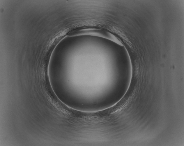 X0000073860681200608170943