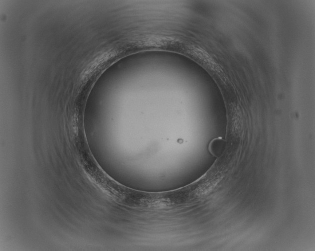 X0000073860683200608170943