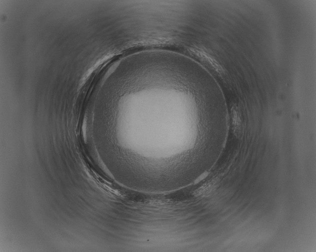 X0000073860684200608170943