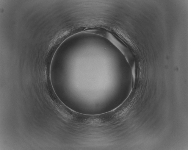 X0000073860685200608170943