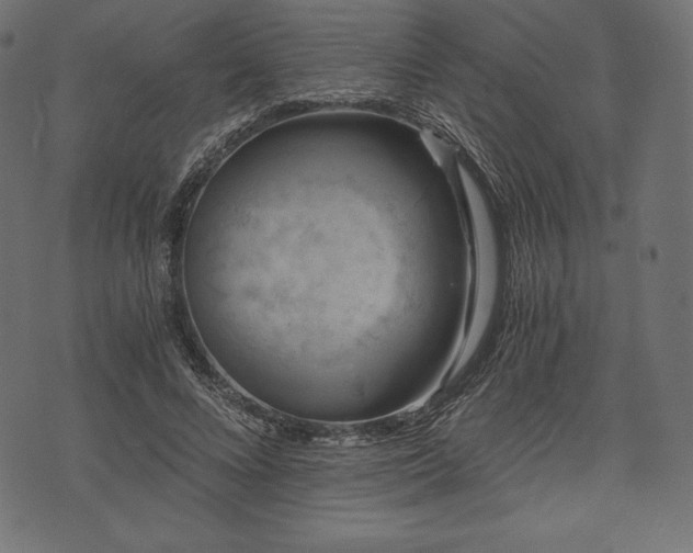 X0000073860688200608170943