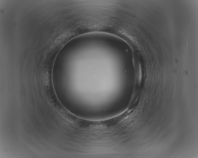 X0000073860689200608170943