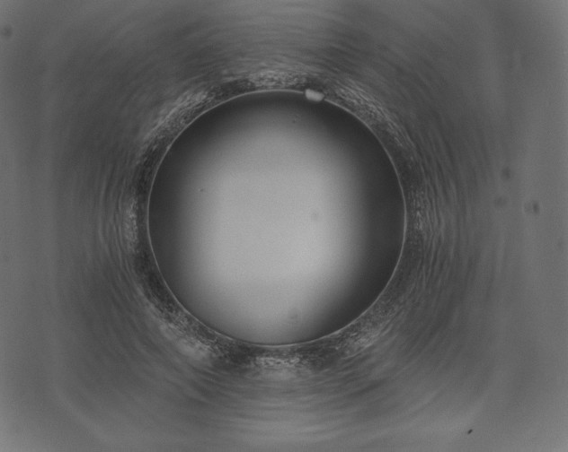 X0000073860690200608170943