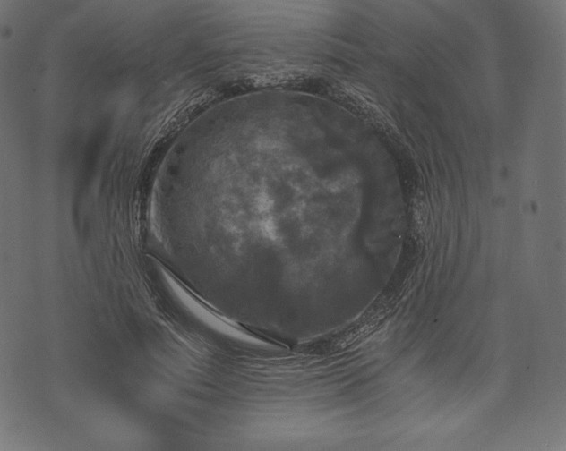 X0000073860691200608170943