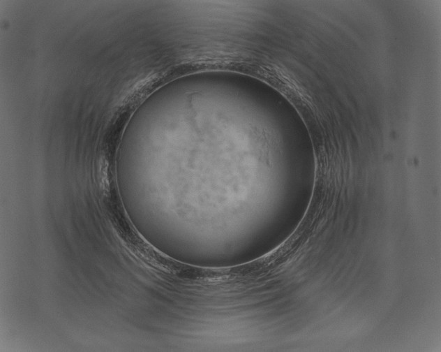 X0000073860692200608170943