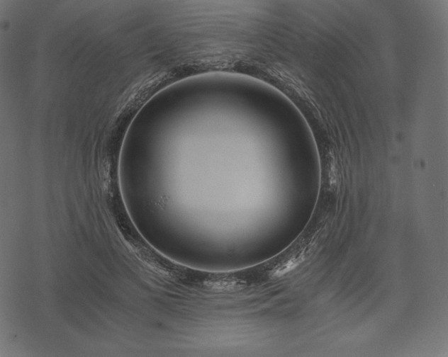 X0000073860693200608170943