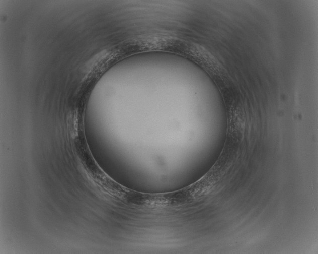 X0000073860694200608170943