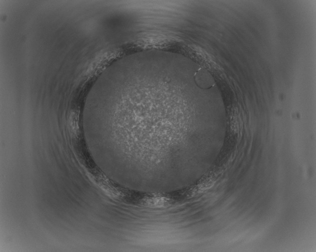 X0000073860695200608170943