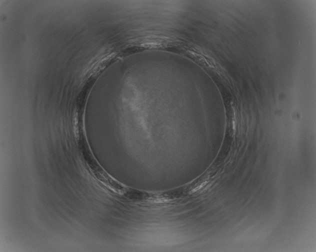 X0000073860696200608170943