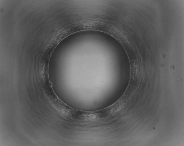 X0000073860698200608170943