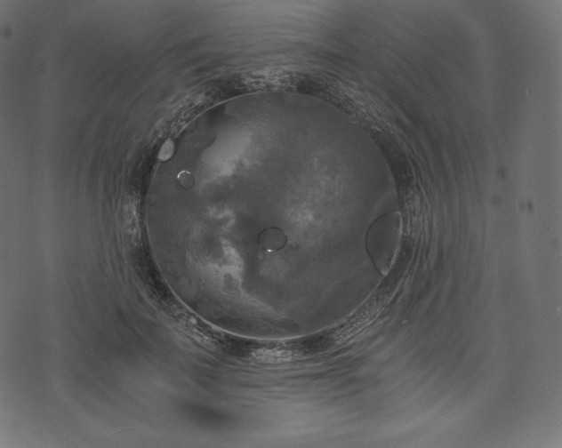 X0000073860699200608170943