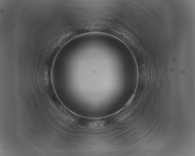 X0000073860700200608170942