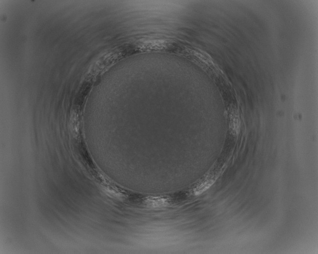 X0000073860701200608170942