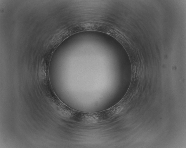 X0000073860702200608170942