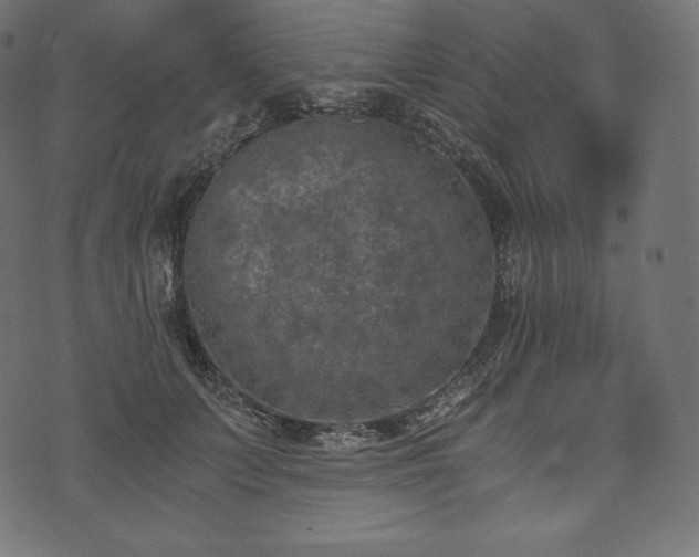 X0000073860703200608170942