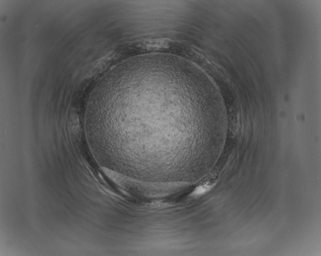 X0000073860704200608170942