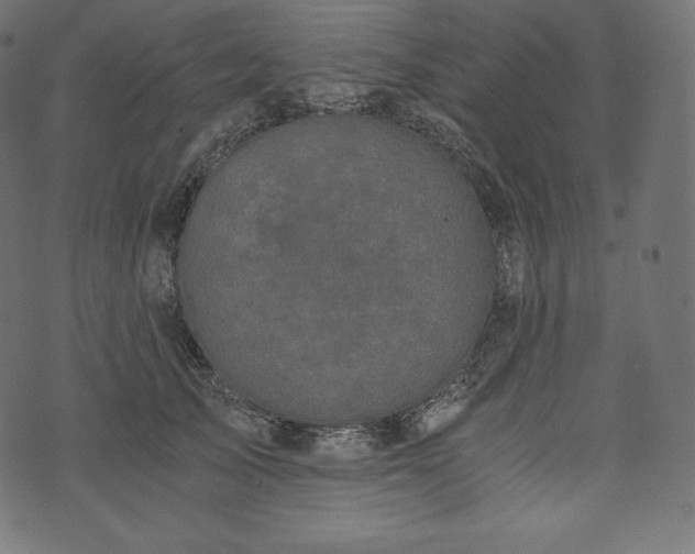 X0000073860705200608170942