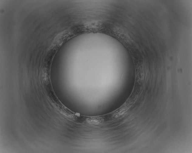 X0000073860706200608170942