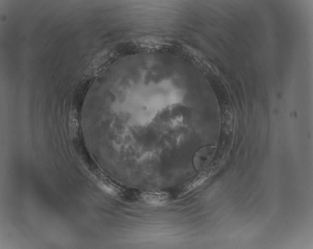 X0000073860707200608170942