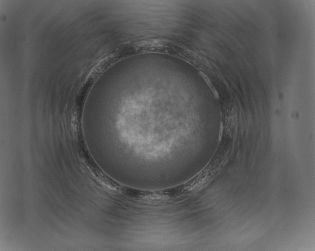 X0000073860708200608170942