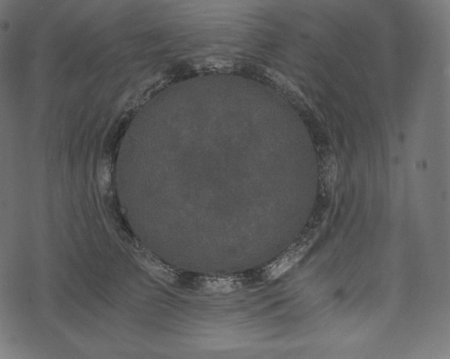 X0000073860709200608170942