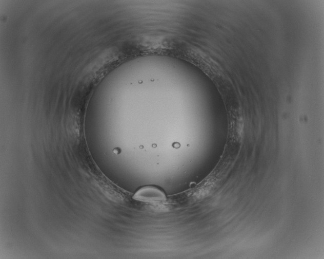 X0000073860710200608170942