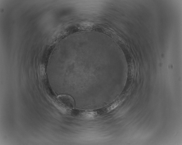 X0000073860711200608170942