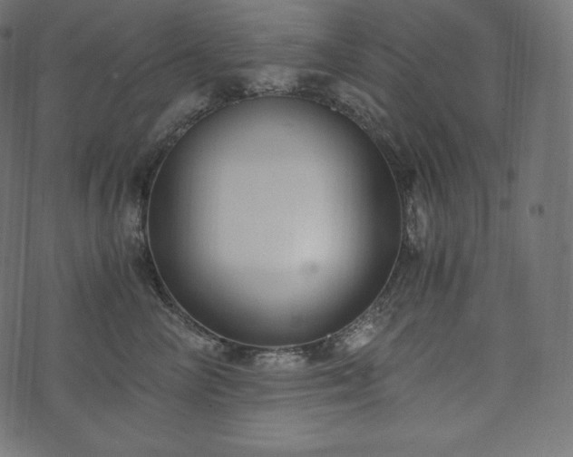 X0000073860714200608170942