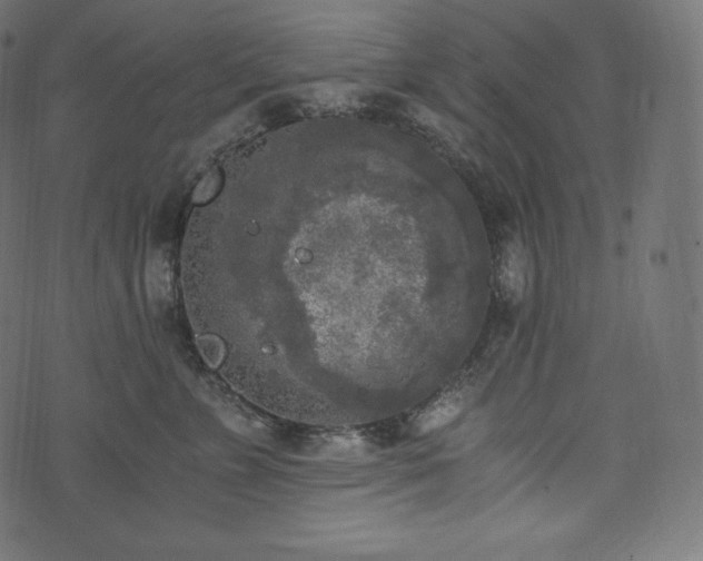 X0000073860715200608170942