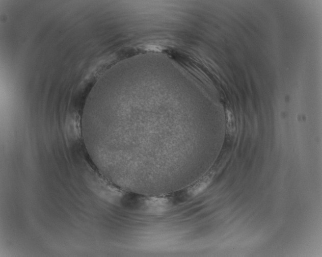 X0000073860718200608170942