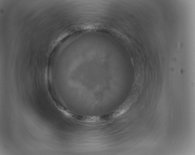 X0000073860720200608170942