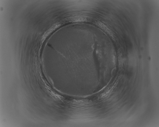 X0000073860721200608170941